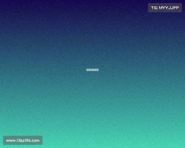 云飞比赛的总决赛