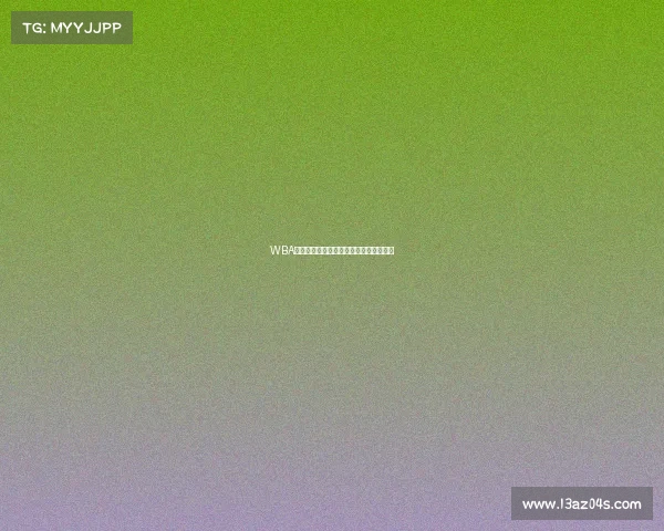 WBA拳击巅峰对决全球瞩目荣耀之战激情上演